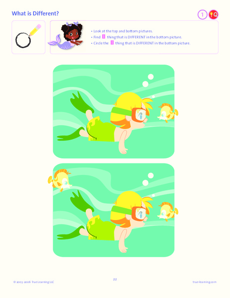 What is Different? Lesson Plan