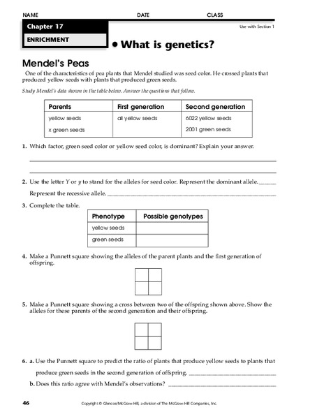 What is Genetics? Worksheet