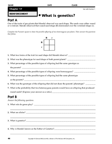 What is Genetics? Worksheet