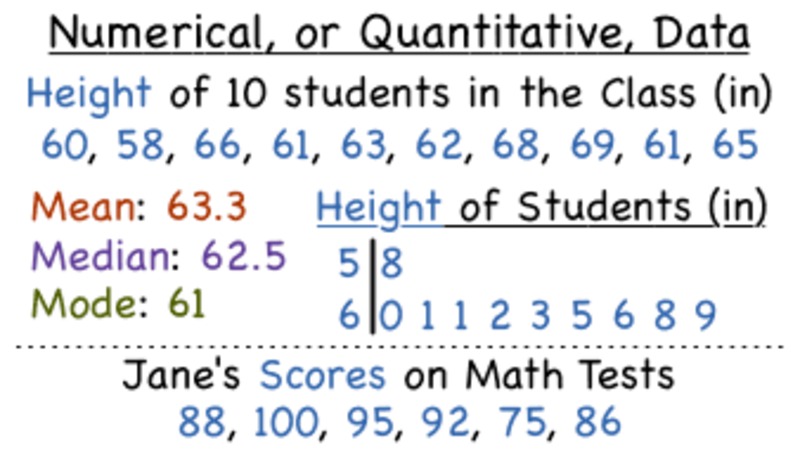 What is Numerical, or Quantitative, Data? Instructional Video