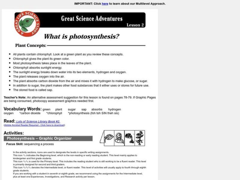 What is Photosynthesis? Lesson Plan