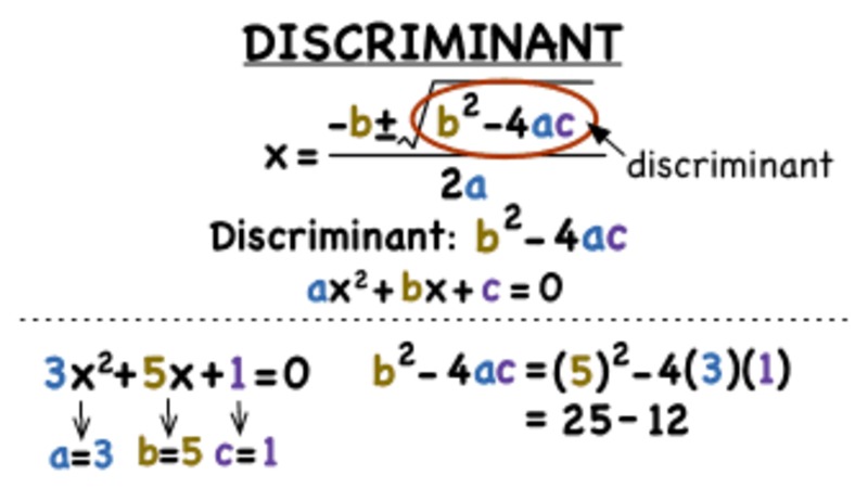 What is the Discriminant? Instructional Video