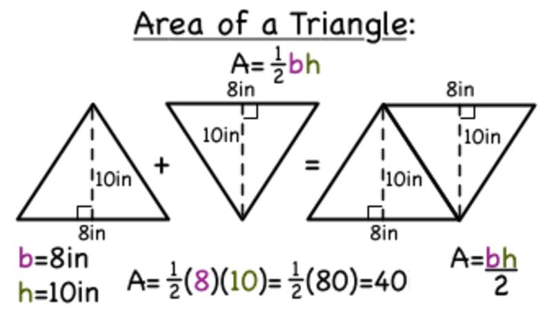 What is the Formula for the Area of a Triangle? Instructional Video