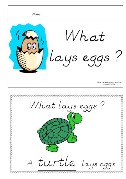What Lays Eggs? Lesson Plan