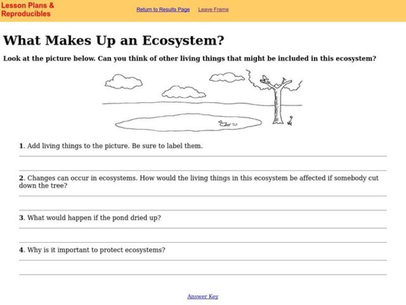 What Makes Up an Ecosystem? Worksheet