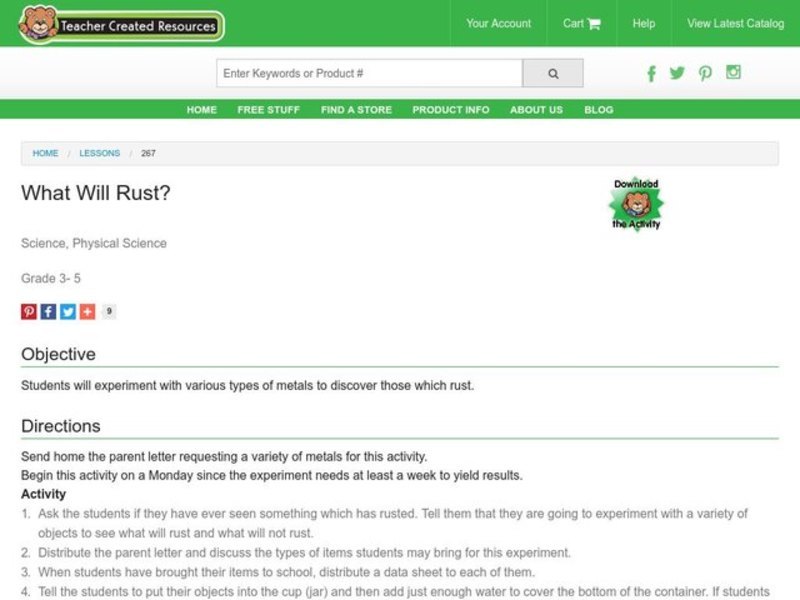 What Will Rust? Lesson Plan