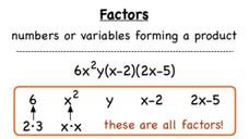 What's a Factor? Instructional Video