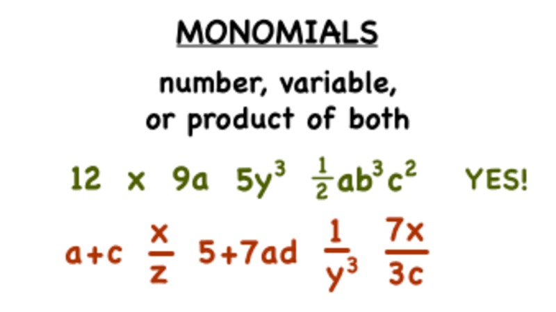 What's a Monomial? Instructional Video