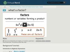 What's a Factor? Instructional Video