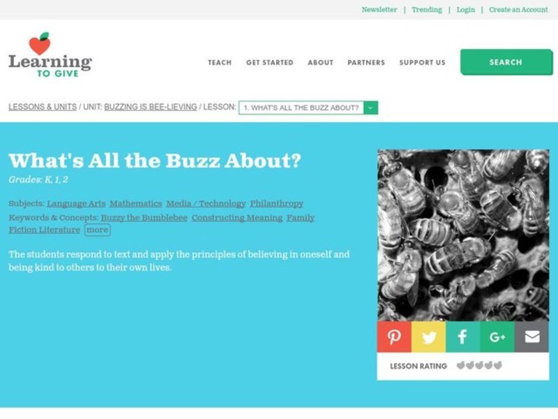 What's All the Buzz About? Lesson Plan