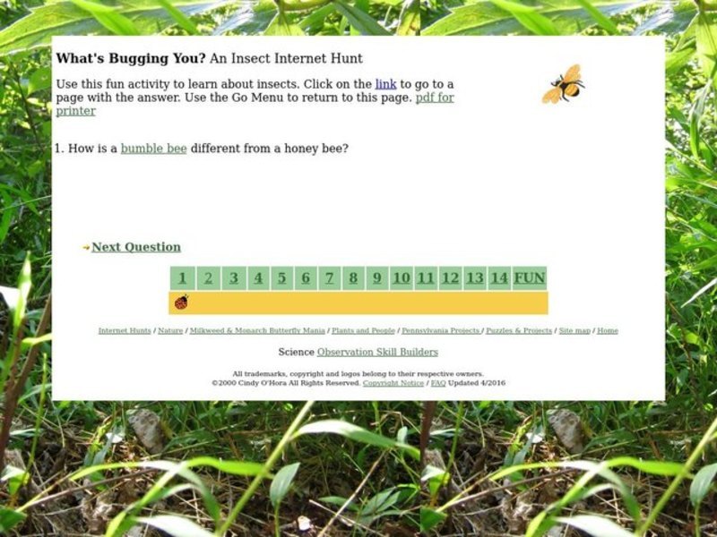 What's Bugging You? Interactive