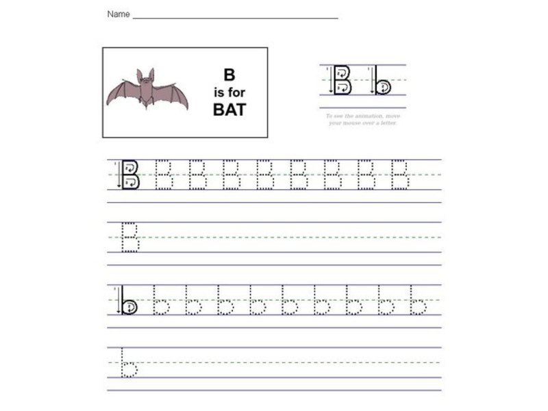 B is for Bat Worksheet