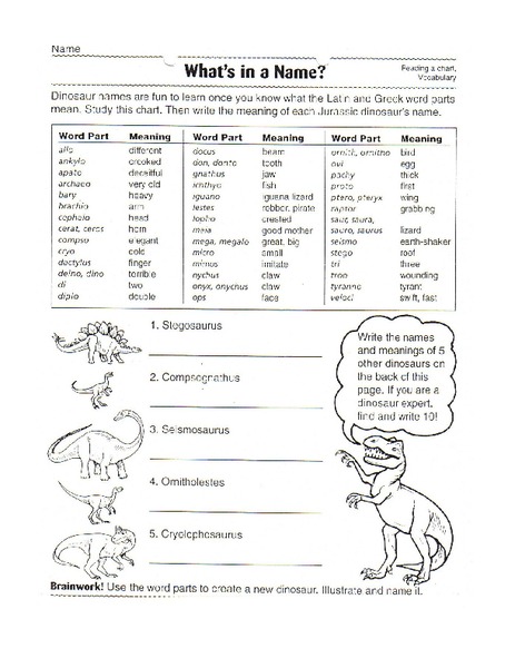What's In a Name? Worksheet