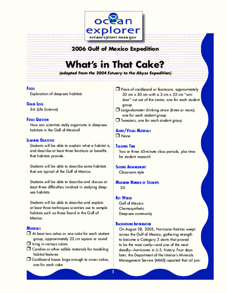 What's in That Cake? Lesson Plan