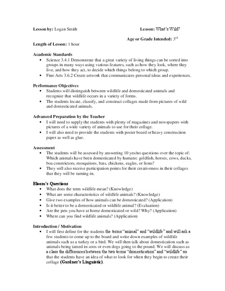 What's Wild? Lesson Plan