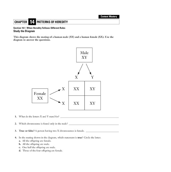 When Heredity Follows Different Rules Worksheet