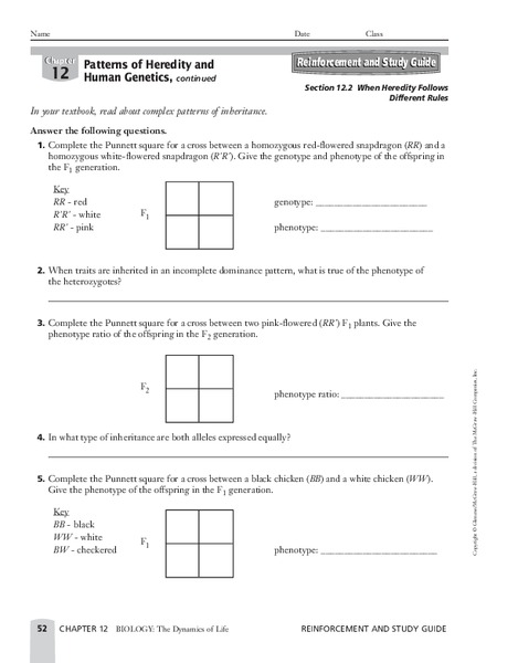 When Heredity Follows Different Rules Worksheet