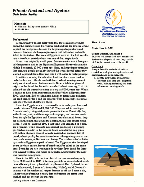 Wheat: Ancient and Ageless Lesson Plan