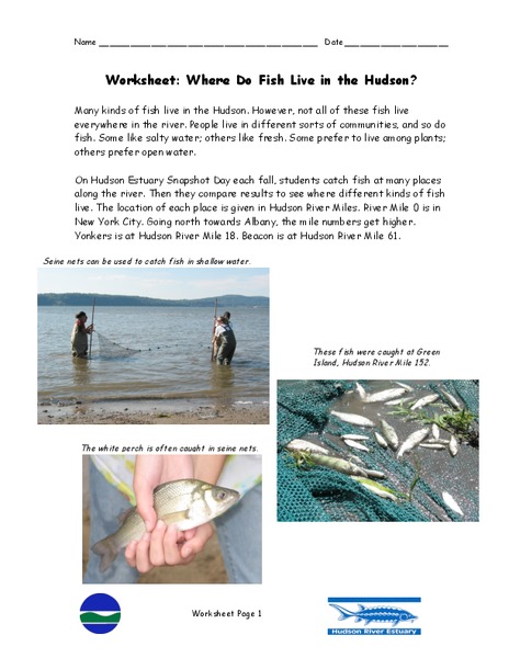 Where Do Fish Live in the Hudson? Worksheet