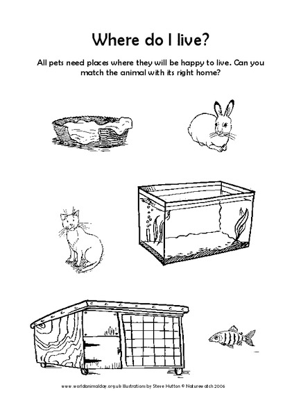 Where Do I Live? Lesson Plan