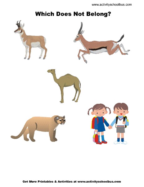 Which Does Not Belong? Worksheet