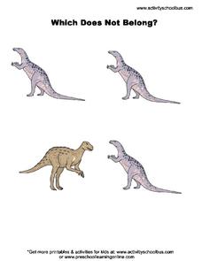 Which Does Not Belong? Worksheet