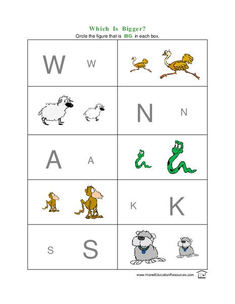 Which is Bigger? Lesson Plan