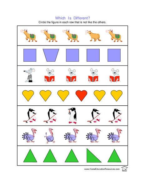 Which is Different? Lesson Plan