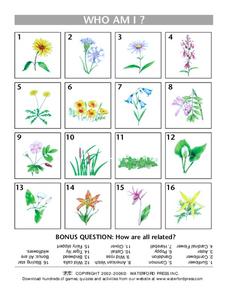 Who Am I? Lesson Plan