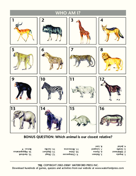 Who Am I? Lesson Plan