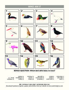 Who Am I? Lesson Plan