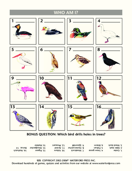 Who Am I? Lesson Plan