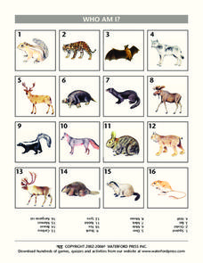 Who Am I? Lesson Plan