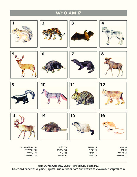 Who Am I? Lesson Plan