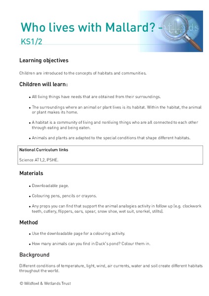 Who lives with Mallard? Lesson Plan
