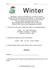 Winter Worksheet
