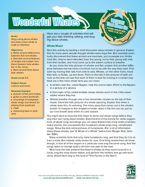 Wonderful Whales Lesson Plan