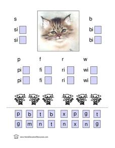 Word Families Lesson Plan