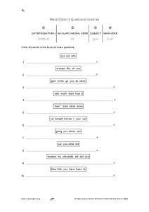 Word Order in Questions Exercise Worksheet
