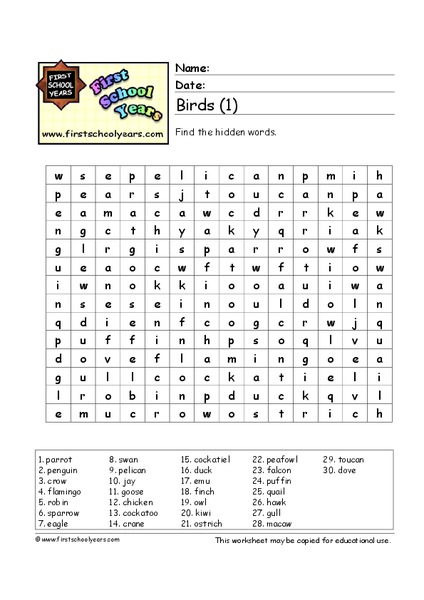 Word Search: Birds Worksheet