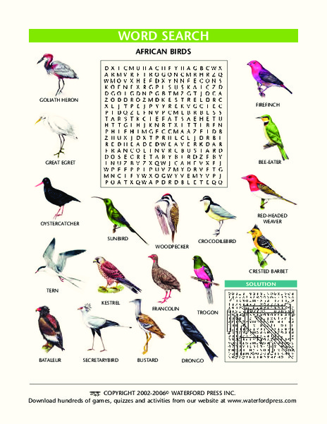 Word Search: African Birds Lesson Plan