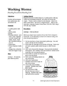 Working Worms Lesson Plan