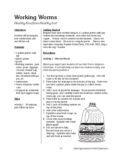 Working Worms Lesson Plan