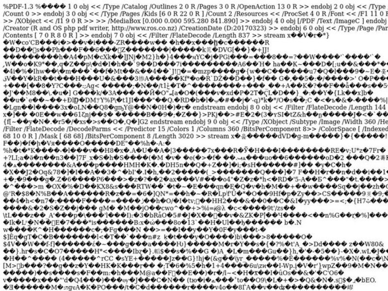 Writing in Different Viewpoints Lesson Plan