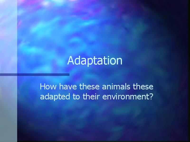 Adaptation PPT