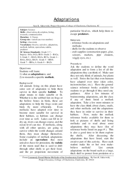 Adaptations Lesson Plan