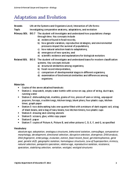 Adaptation and Evolution Lesson Plan
