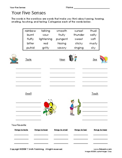 Your Five Senses Worksheet