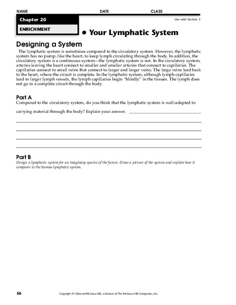Your Lymphatic System Worksheet