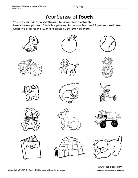 Your Sense of Touch Worksheet
